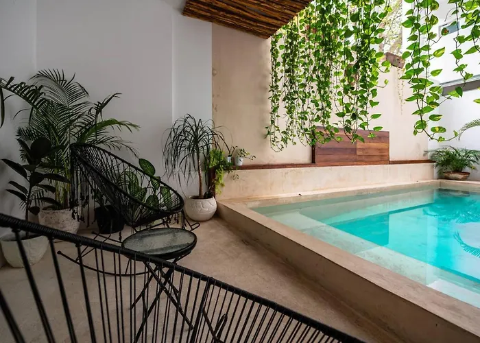 Stylish 1bd W Rooftop Pool Walk To 5th * Playa del Carmen